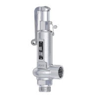 Niezgodka Type 1.2 Relief Valve - Stainless - Lever