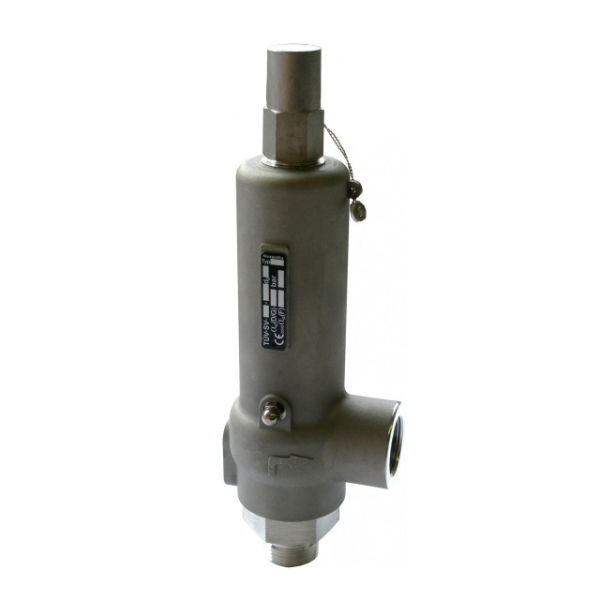 Niezgodka Type 21 Safety Valve