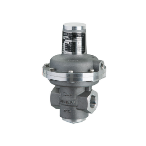 Medenus R50 Gas Pressure Regulator