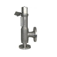 Broady 3600 Balanced Safety Relief Valve