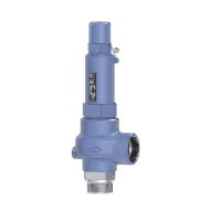 Niezgodka Type 19.1 Safety Valve - SG Iron - Cap