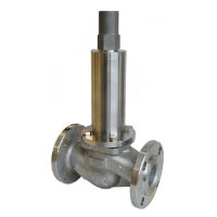 Niezgodka Type 13 Straight Pattern Relief Valve