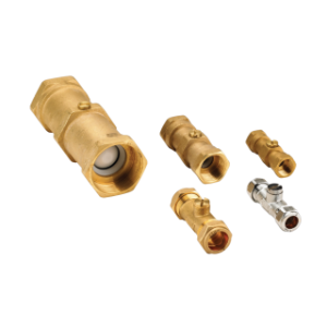 Floguard Double Check Valve with Test Point - Cat 3