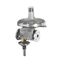 Medenus RS255 Gas Pressure Regulator and Shut Off Valve