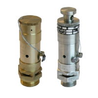 Niezgodka Type 6 Safety Valve