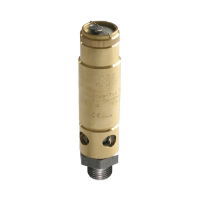 Niezgodka Type 110 Safety Valve
