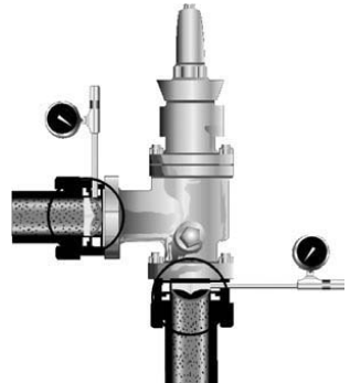 Rupture Disk Protecting the Inlet and Outlet of a Safety Valve