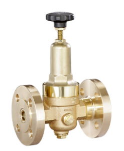 Gunmetal Reducing Valves