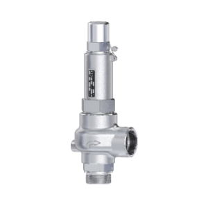 Niezgodka Type 19.2 Safety Valve - Stainless - Cap