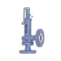Niezgodka Type 30.1 Safety Valve - SG Iron - Lever