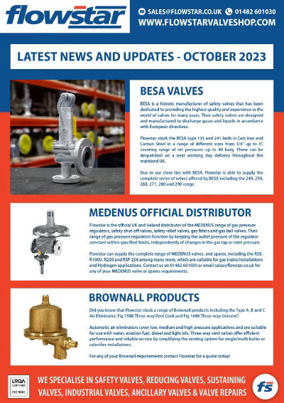 Latest News & Updates Flyer - 02/10/23 